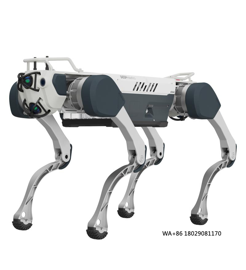 Robot Remote Control - Удаление искусственного интеллекта для обучения и