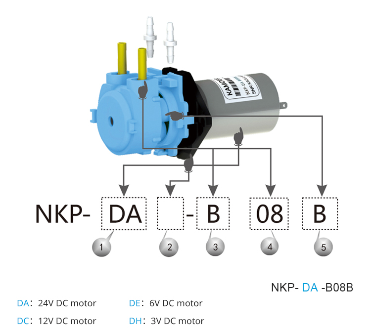 Новый бесшумный перистальтичес – обзор и цена Dc Motor 12V