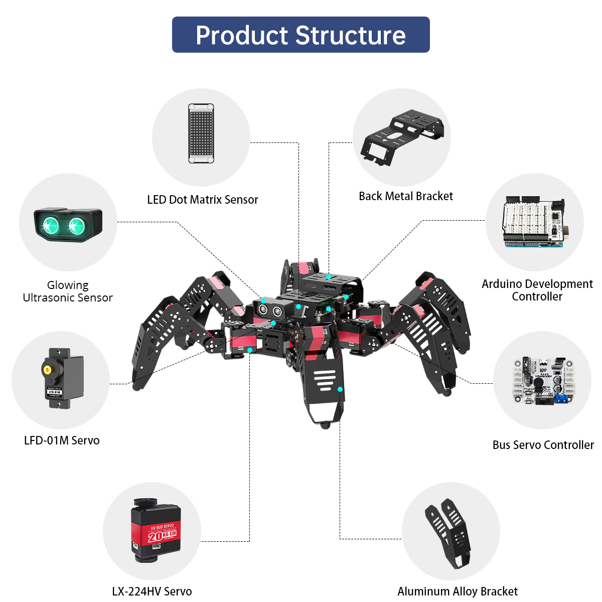 Программируемый шестиногий био – обзор и цена Robotics Kit